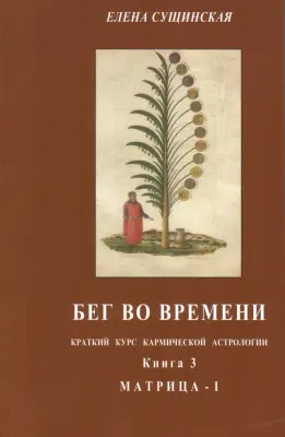 Бег во времени. Книга 3. Матрица - I